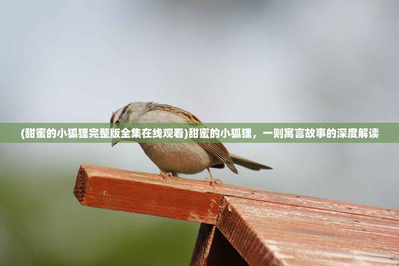 (甜蜜的小狐狸完整版全集在线观看)甜蜜的小狐狸，一则寓言故事的深度解读