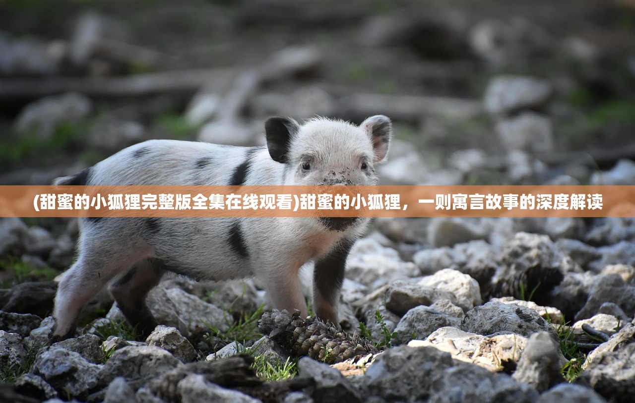 (甜蜜的小狐狸完整版全集在线观看)甜蜜的小狐狸，一则寓言故事的深度解读