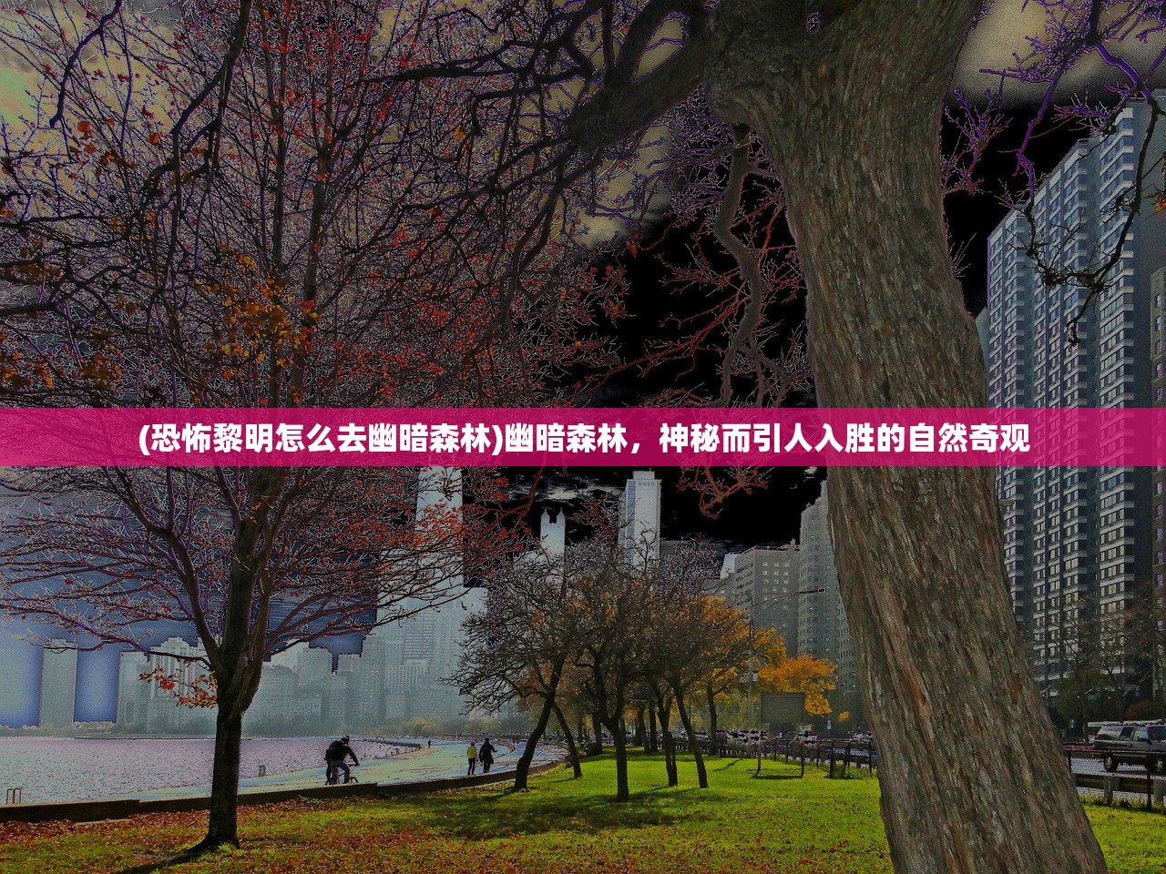 (恐怖黎明怎么去幽暗森林)幽暗森林，神秘而引人入胜的自然奇观