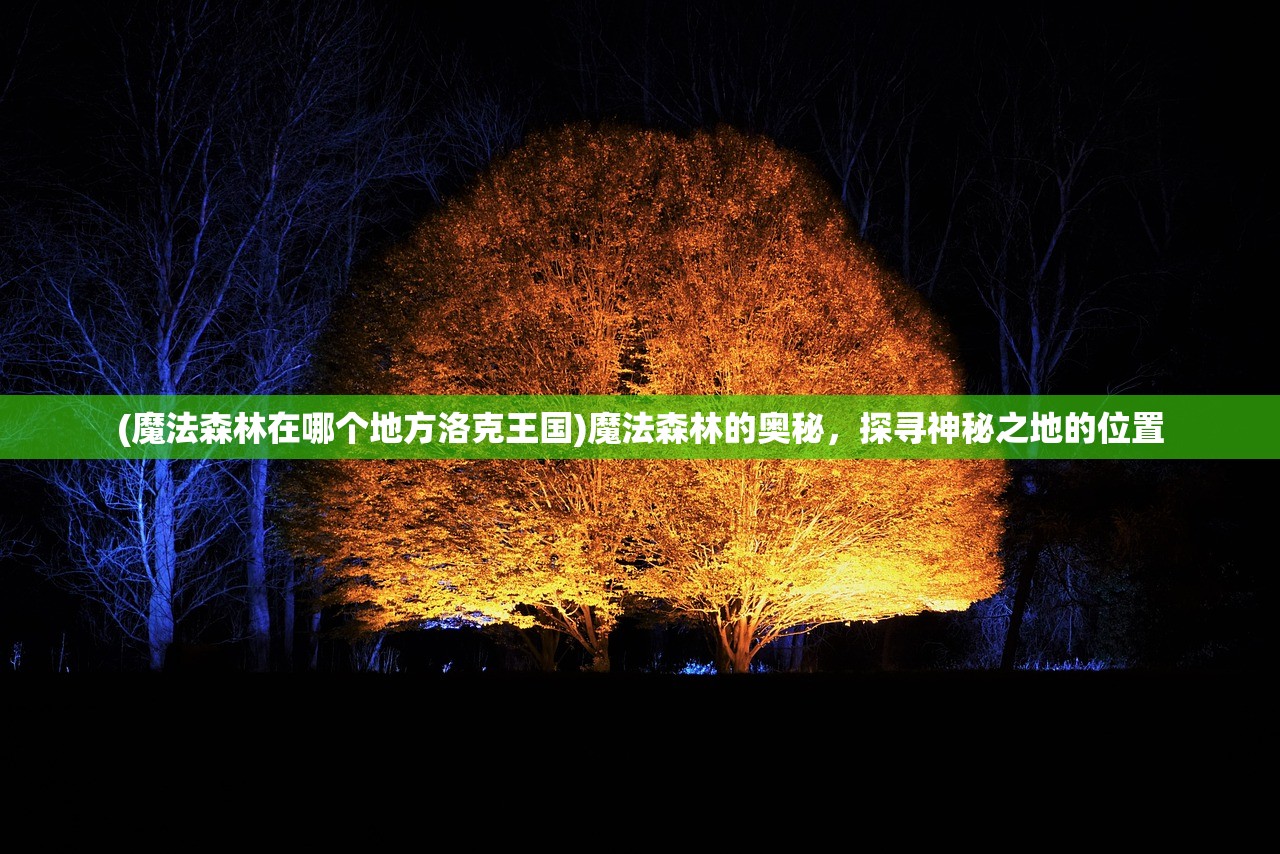 (魔法森林在哪个地方洛克王国)魔法森林的奥秘，探寻神秘之地的位置