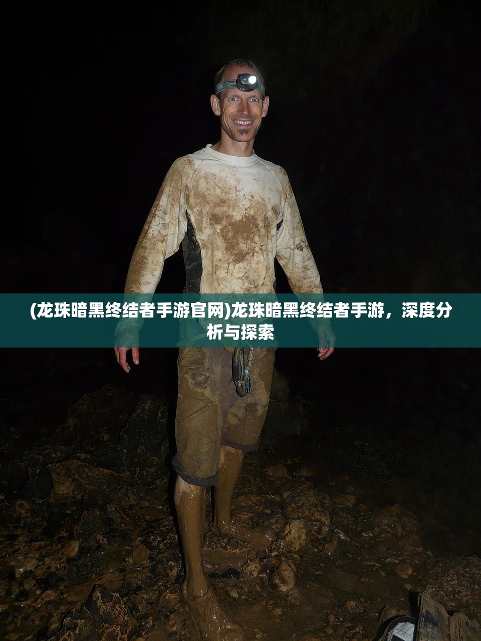 (龙珠暗黑终结者手游官网)龙珠暗黑终结者手游，深度分析与探索