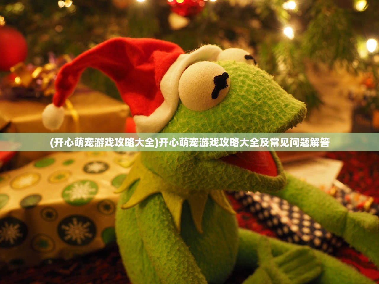 (开心萌宠游戏攻略大全)开心萌宠游戏攻略大全及常见问题解答