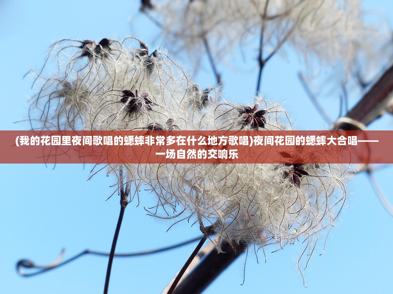 (王者射击奥特之王怎么获得)王者射击，奥特之王的荣耀征途