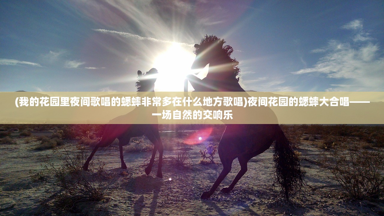 (精灵物语jojo攻略)精灵物语JOJO，超越现实的奇幻之旅