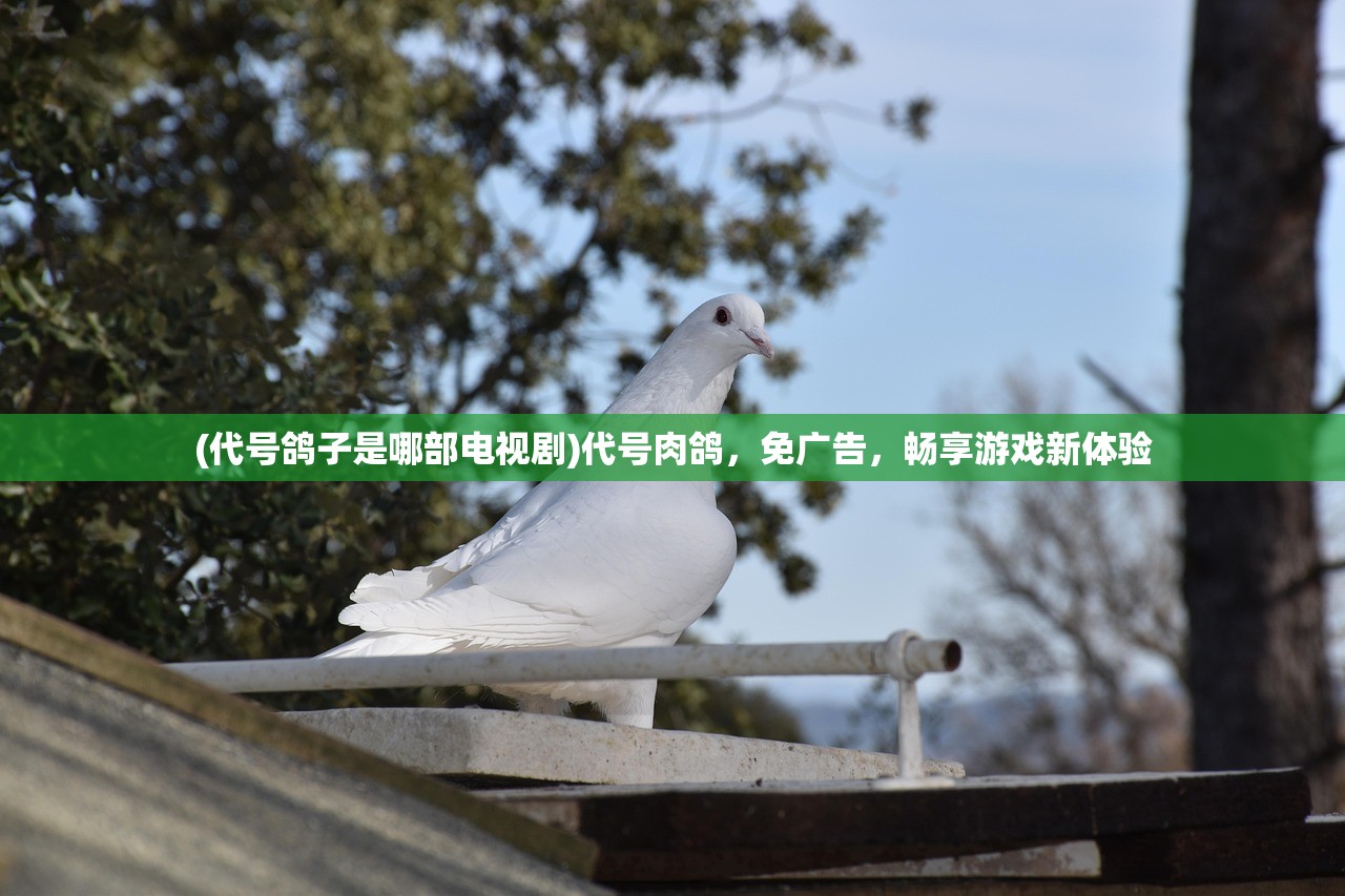 (代号鸽子是哪部电视剧)代号肉鸽，免广告，畅享游戏新体验