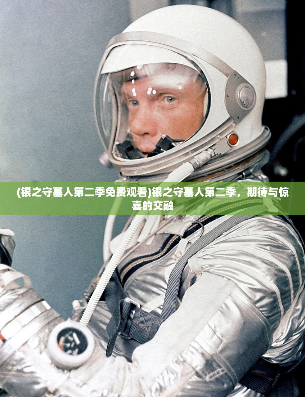 (银之守墓人第二季免费观看)银之守墓人第二季，期待与惊喜的交融