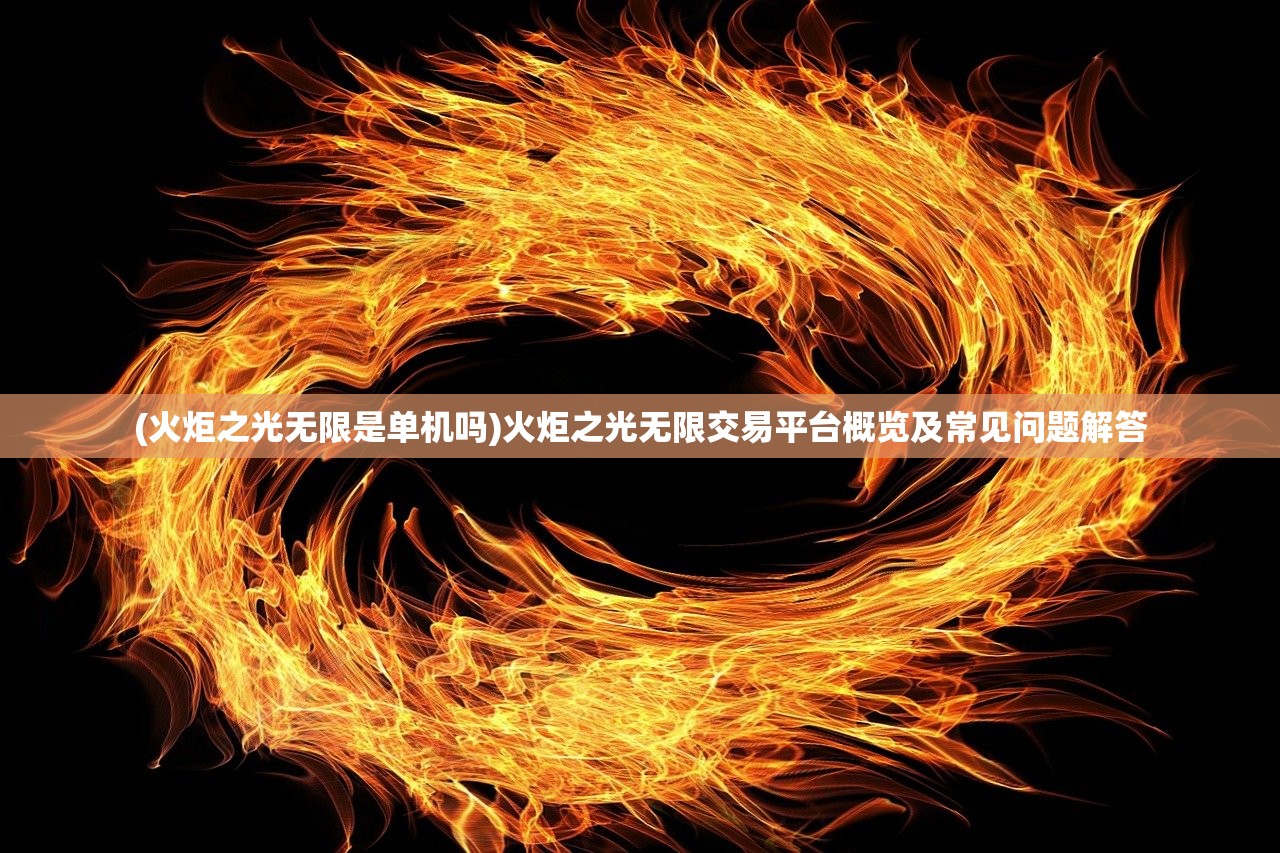 (火炬之光无限是单机吗)火炬之光无限交易平台概览及常见问题解答