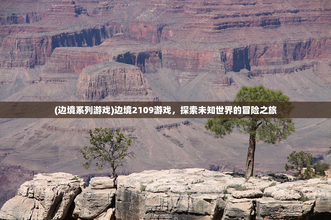 (边境系列游戏)边境2109游戏，探索未知世界的冒险之旅