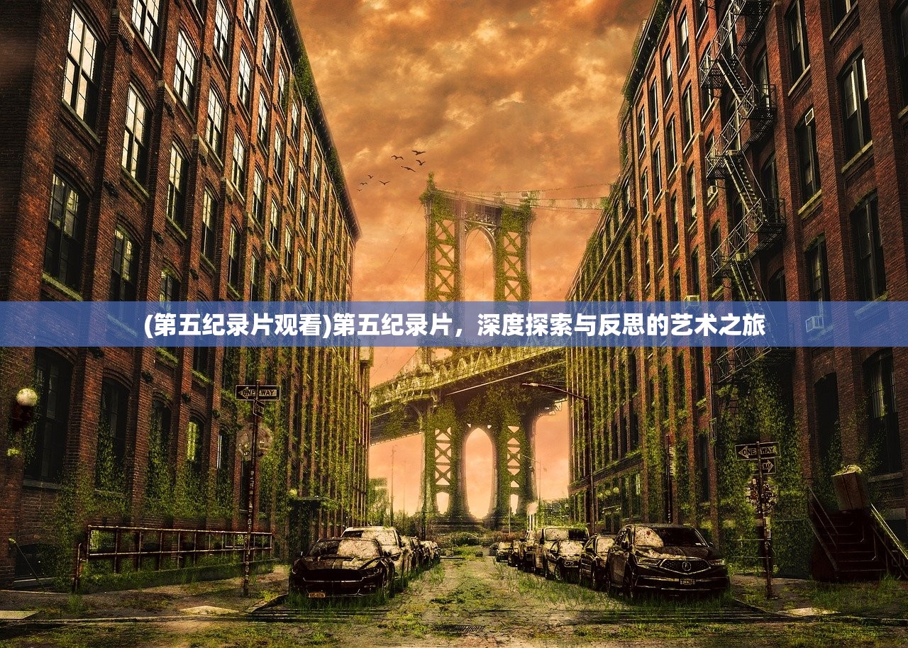 (第五纪录片观看)第五纪录片，深度探索与反思的艺术之旅