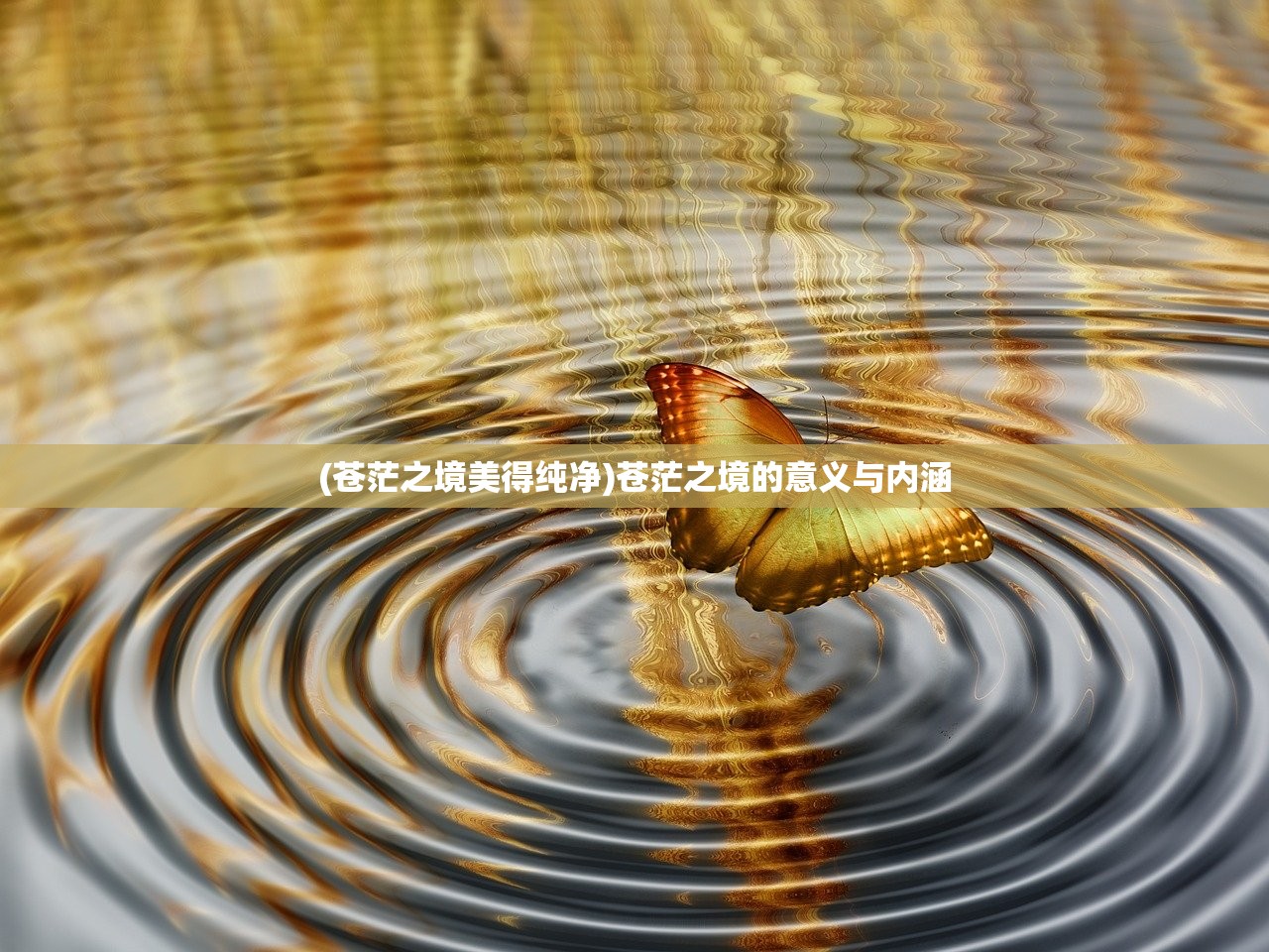 (苍茫之境美得纯净)苍茫之境的意义与内涵