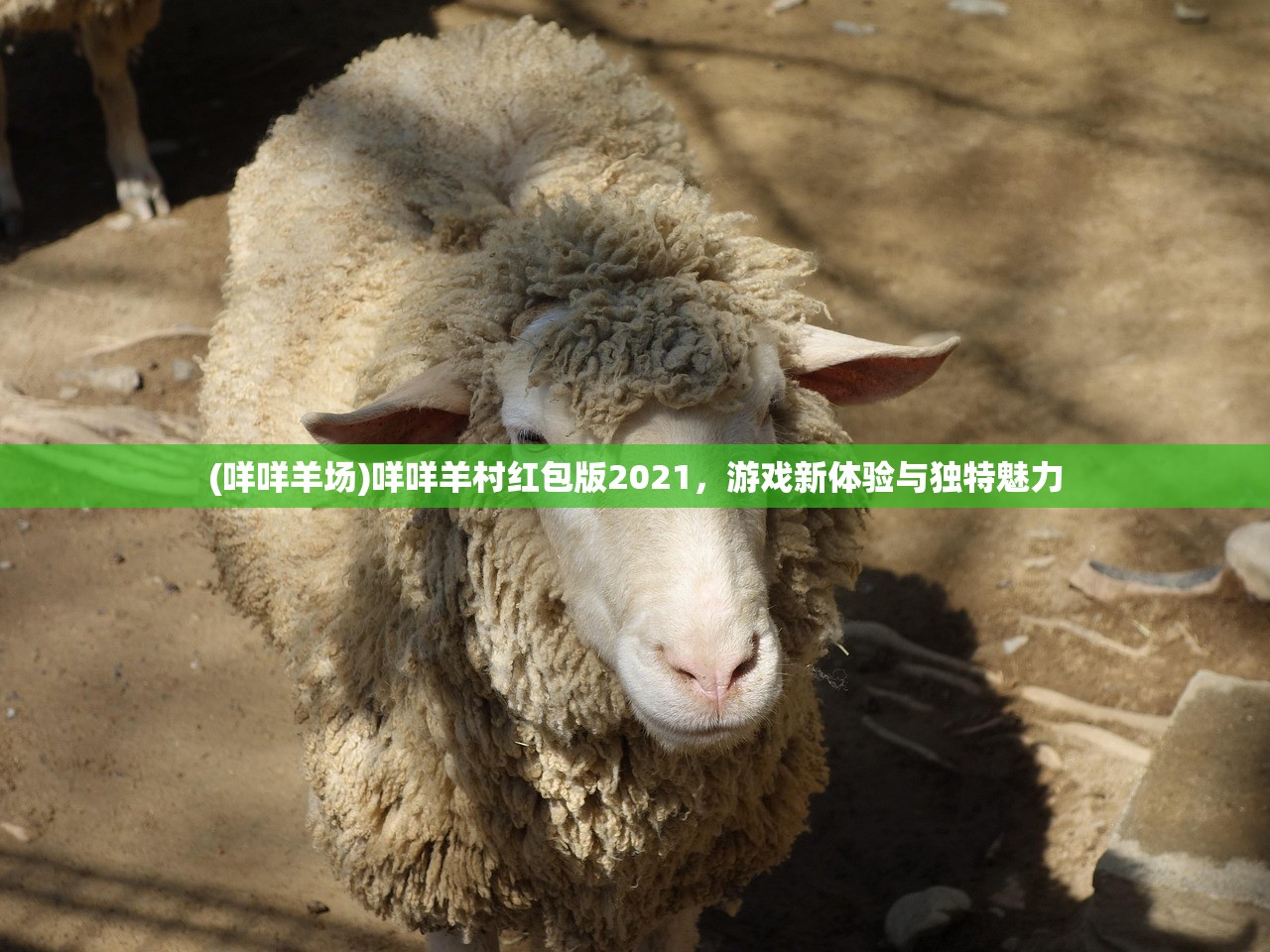 (咩咩羊场)咩咩羊村红包版2021，游戏新体验与独特魅力