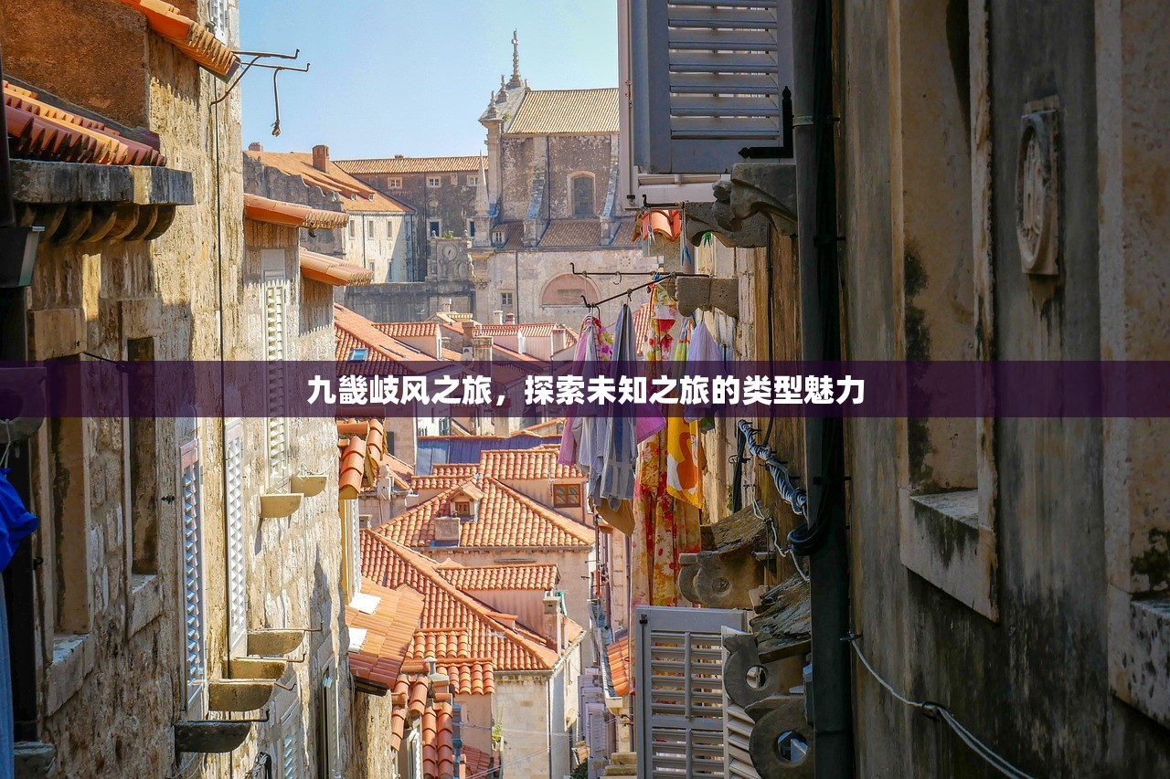 九畿岐风之旅，探索未知之旅的类型魅力