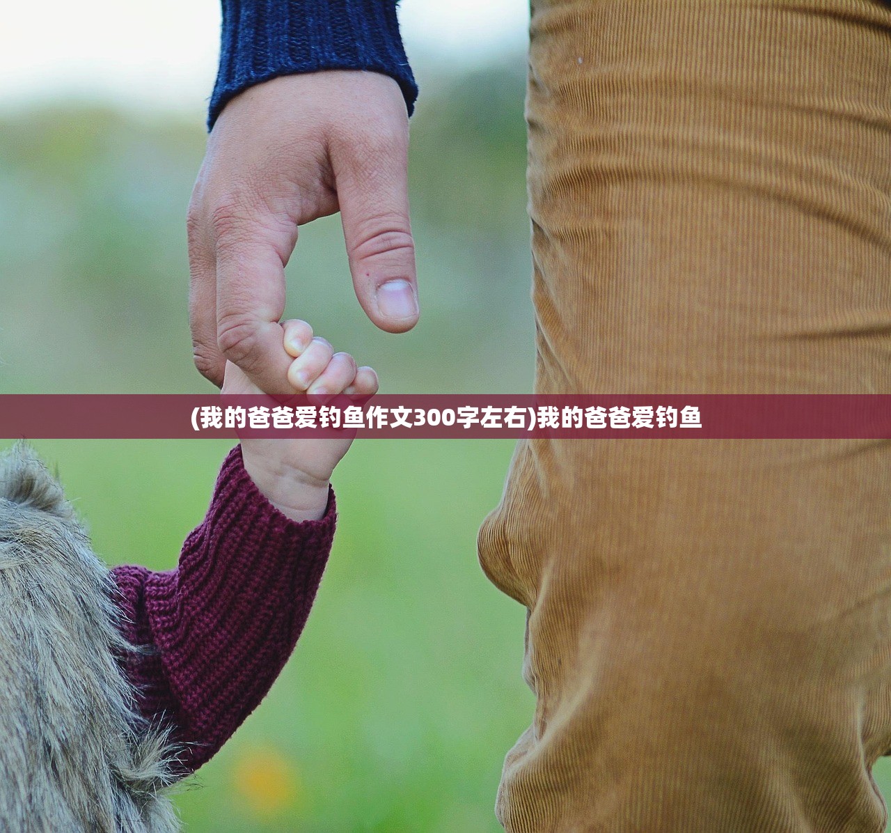 (我的爸爸爱钓鱼作文300字左右)我的爸爸爱钓鱼