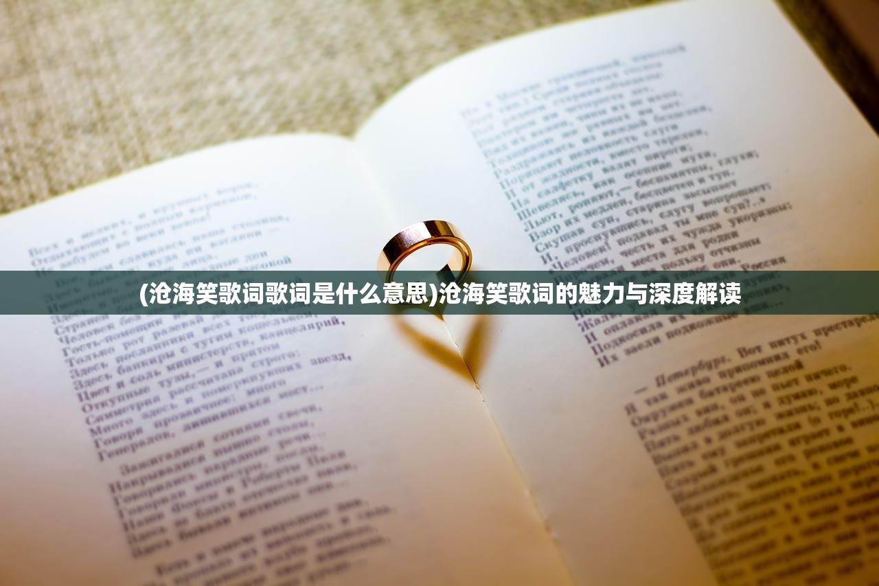 (沧海笑歌词歌词是什么意思)沧海笑歌词的魅力与深度解读