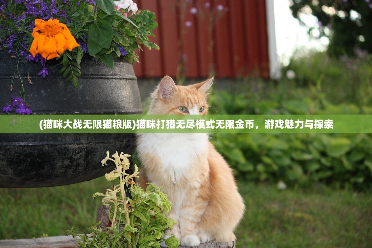 (猫咪大战无限猫粮版)猫咪打猎无尽模式无限金币，游戏魅力与探索