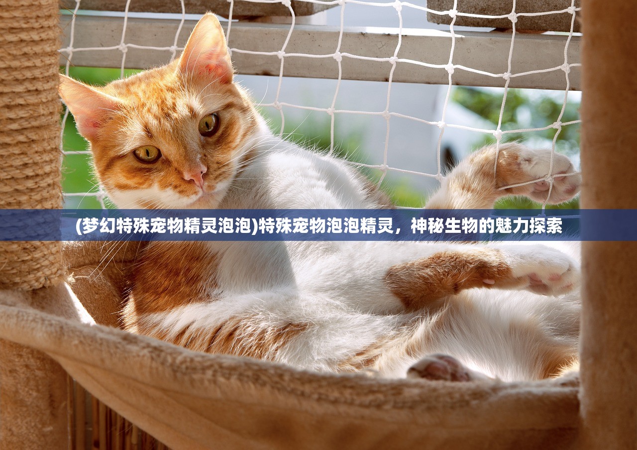 (梦幻特殊宠物精灵泡泡)特殊宠物泡泡精灵，神秘生物的魅力探索