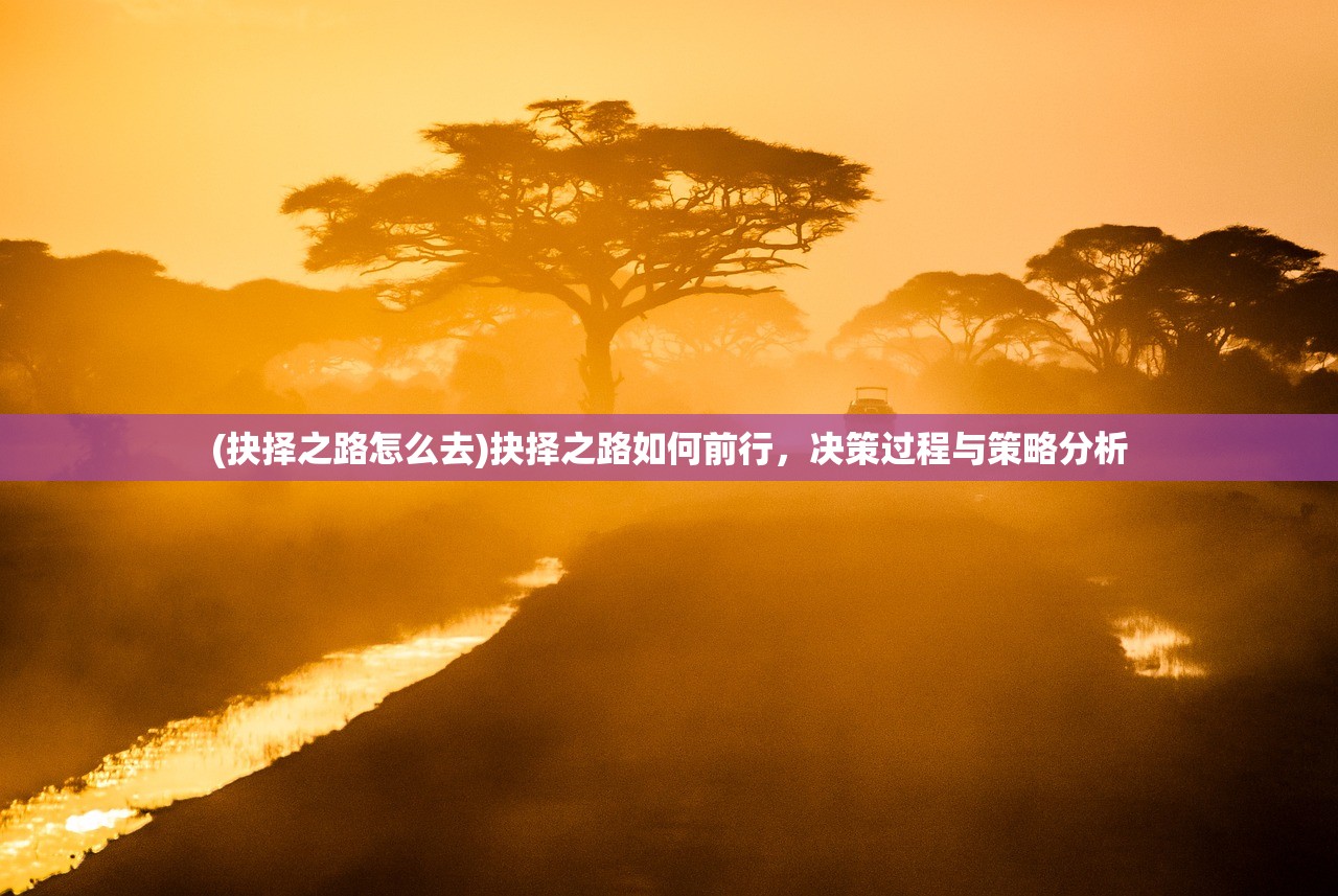(圣域小说txt)圣域TXT免费阅读，深入探索与解读