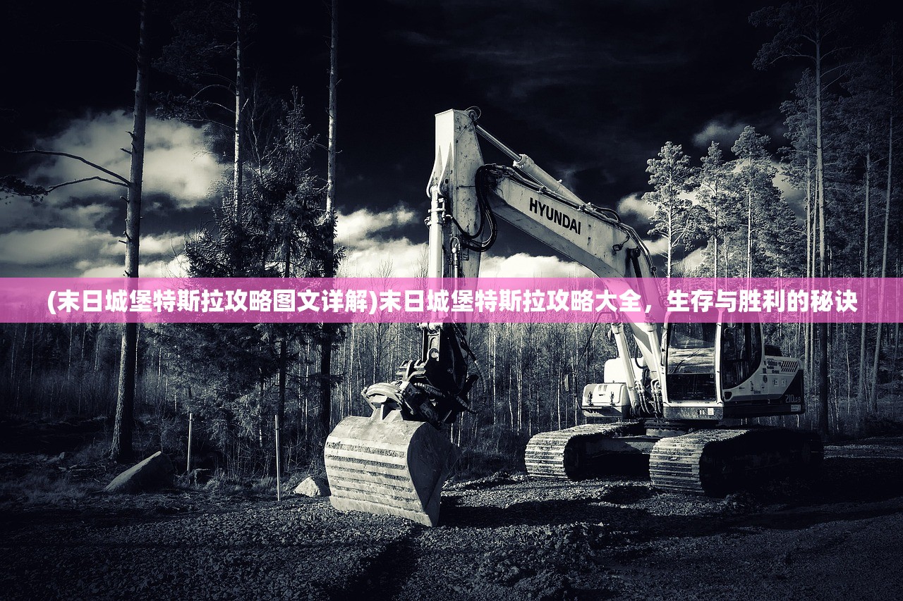 (末日城堡特斯拉攻略图文详解)末日城堡特斯拉攻略大全，生存与胜利的秘诀