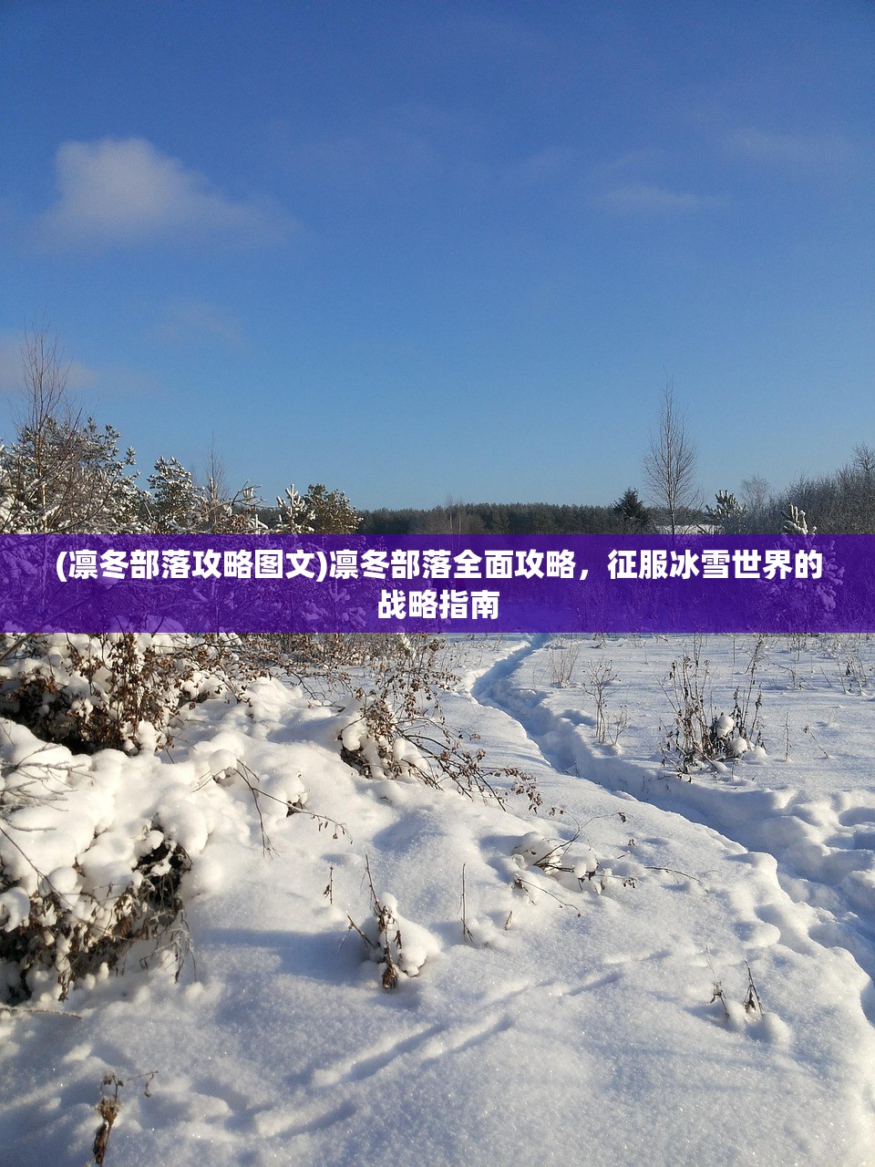 (凛冬部落攻略图文)凛冬部落全面攻略，征服冰雪世界的战略指南