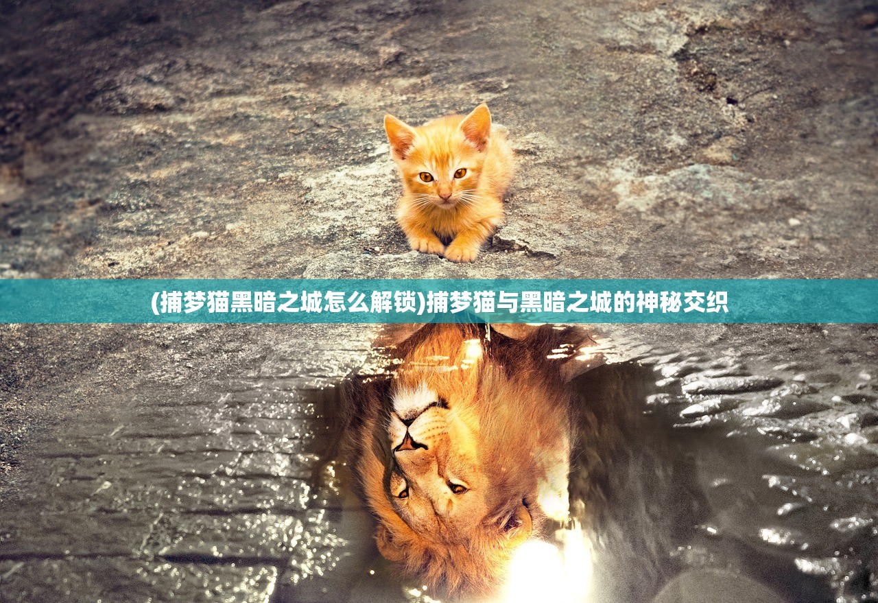 (捕梦猫黑暗之城怎么解锁)捕梦猫与黑暗之城的神秘交织