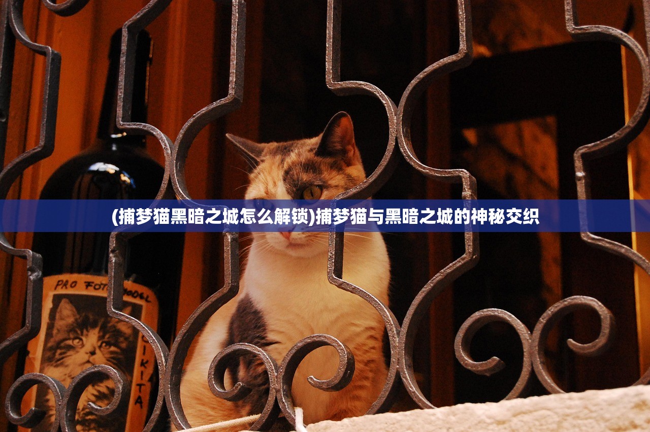 (捕梦猫黑暗之城怎么解锁)捕梦猫与黑暗之城的神秘交织