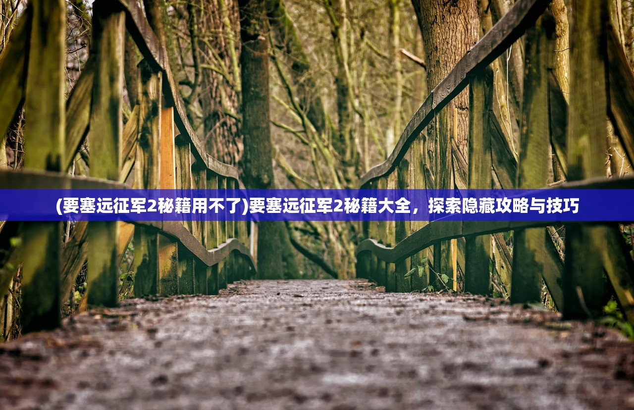 (要塞远征军2秘籍用不了)要塞远征军2秘籍大全，探索隐藏攻略与技巧