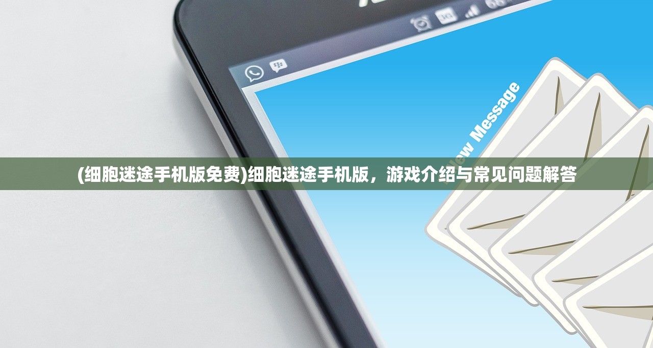 (群星之子逃婚录全本TXT下载)群星之子逃婚录，一场跨越星域的挑战与成长