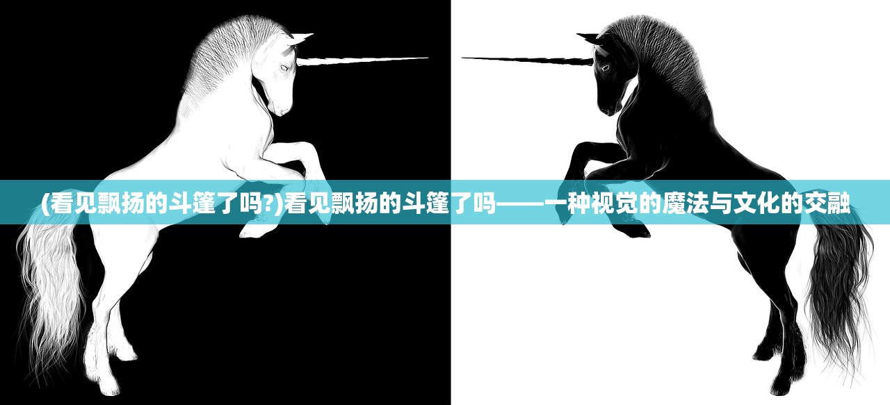 (看见飘扬的斗篷了吗?)看见飘扬的斗篷了吗——一种视觉的魔法与文化的交融