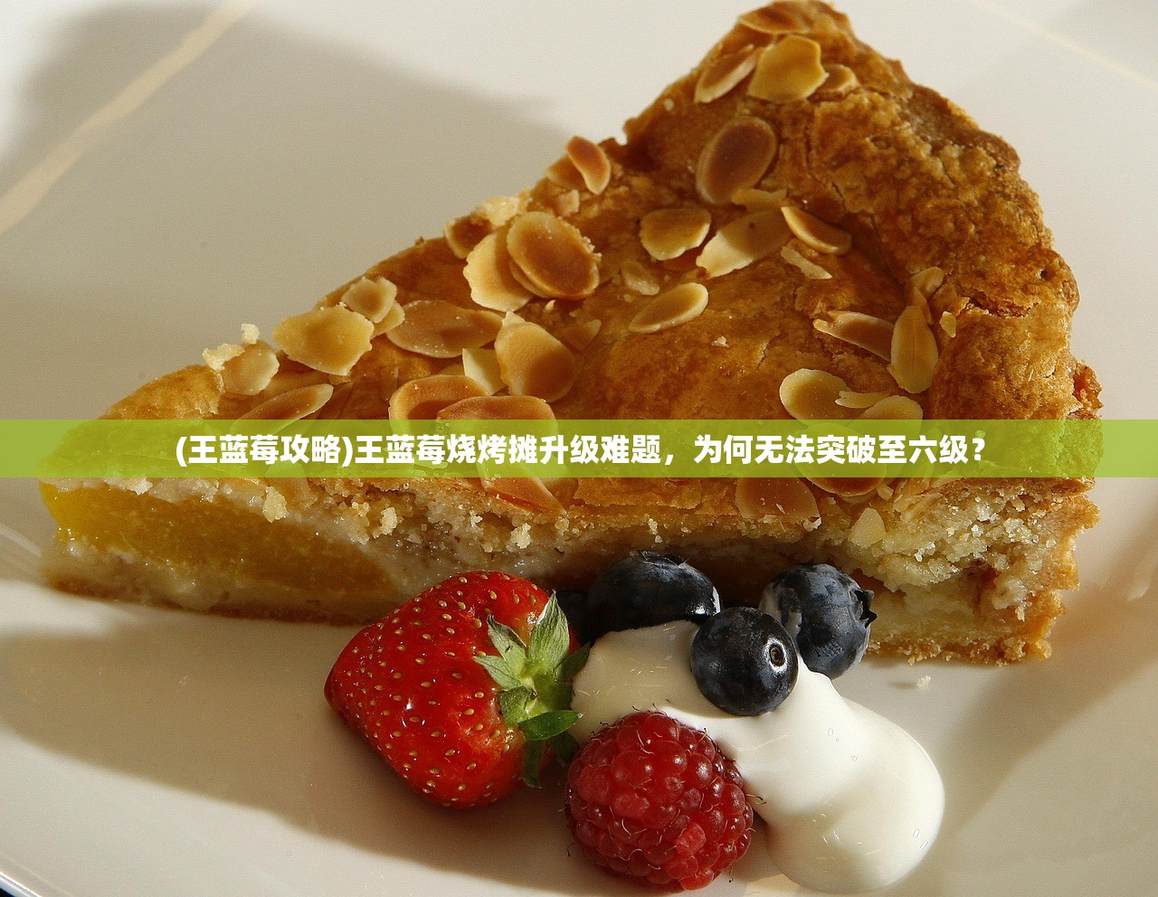 (王蓝莓攻略)王蓝莓烧烤摊升级难题，为何无法突破至六级？