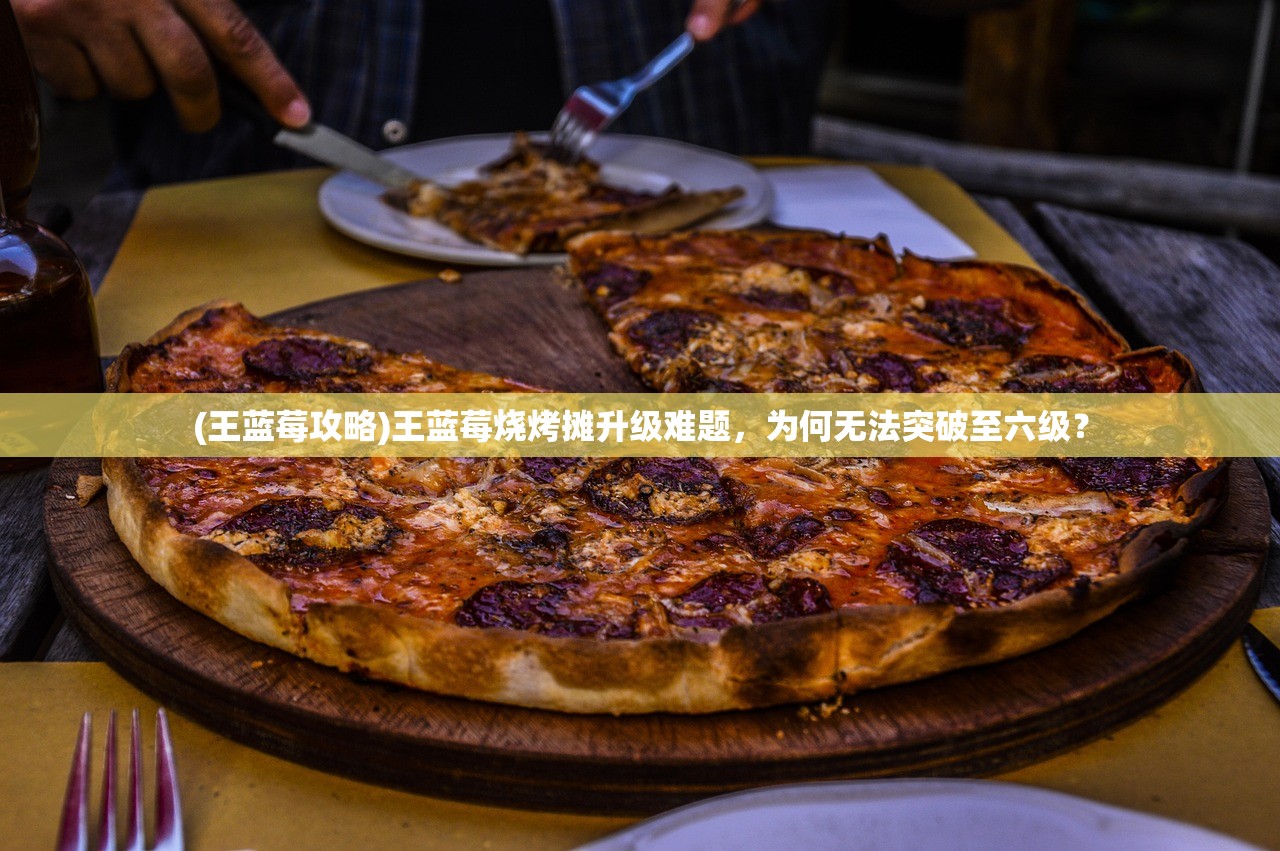 (王蓝莓攻略)王蓝莓烧烤摊升级难题，为何无法突破至六级？