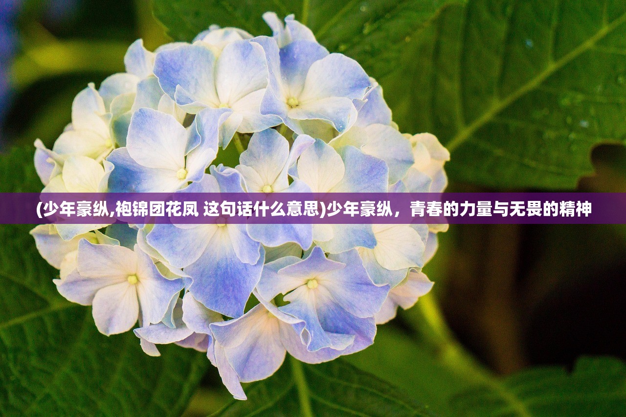 (少年豪纵,袍锦团花凤 这句话什么意思)少年豪纵，青春的力量与无畏的精神