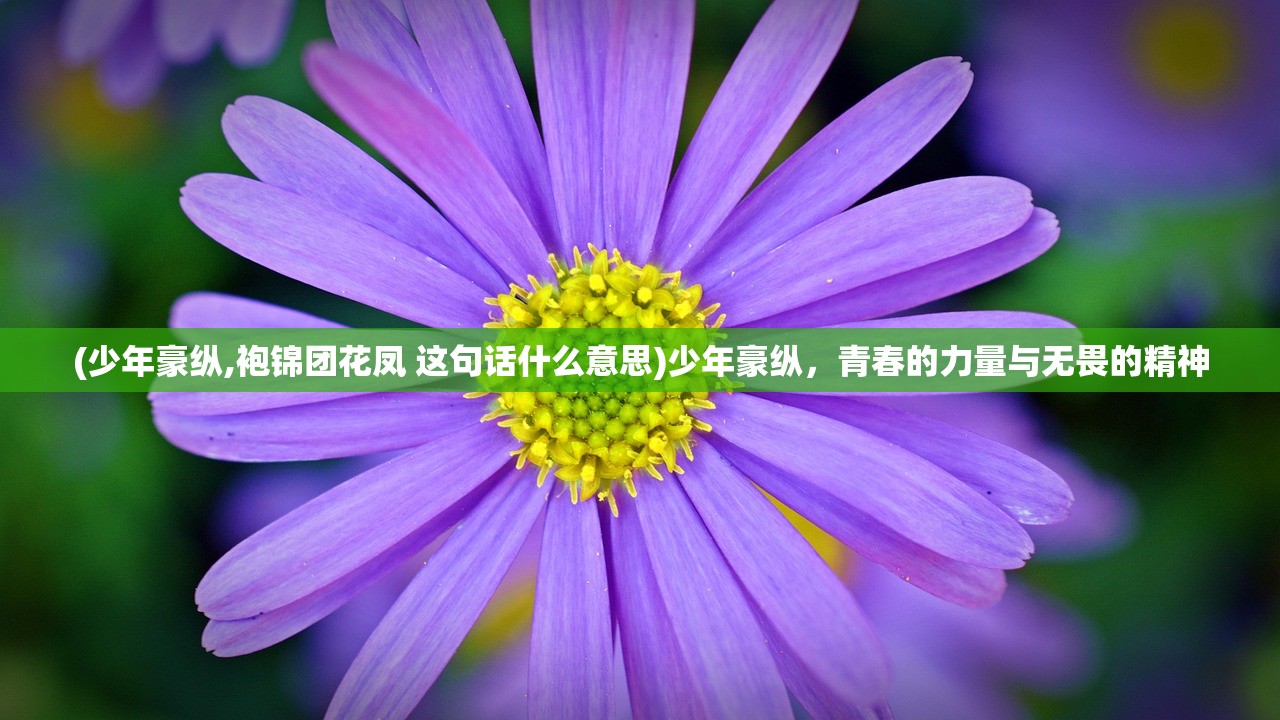 (少年豪纵,袍锦团花凤 这句话什么意思)少年豪纵，青春的力量与无畏的精神