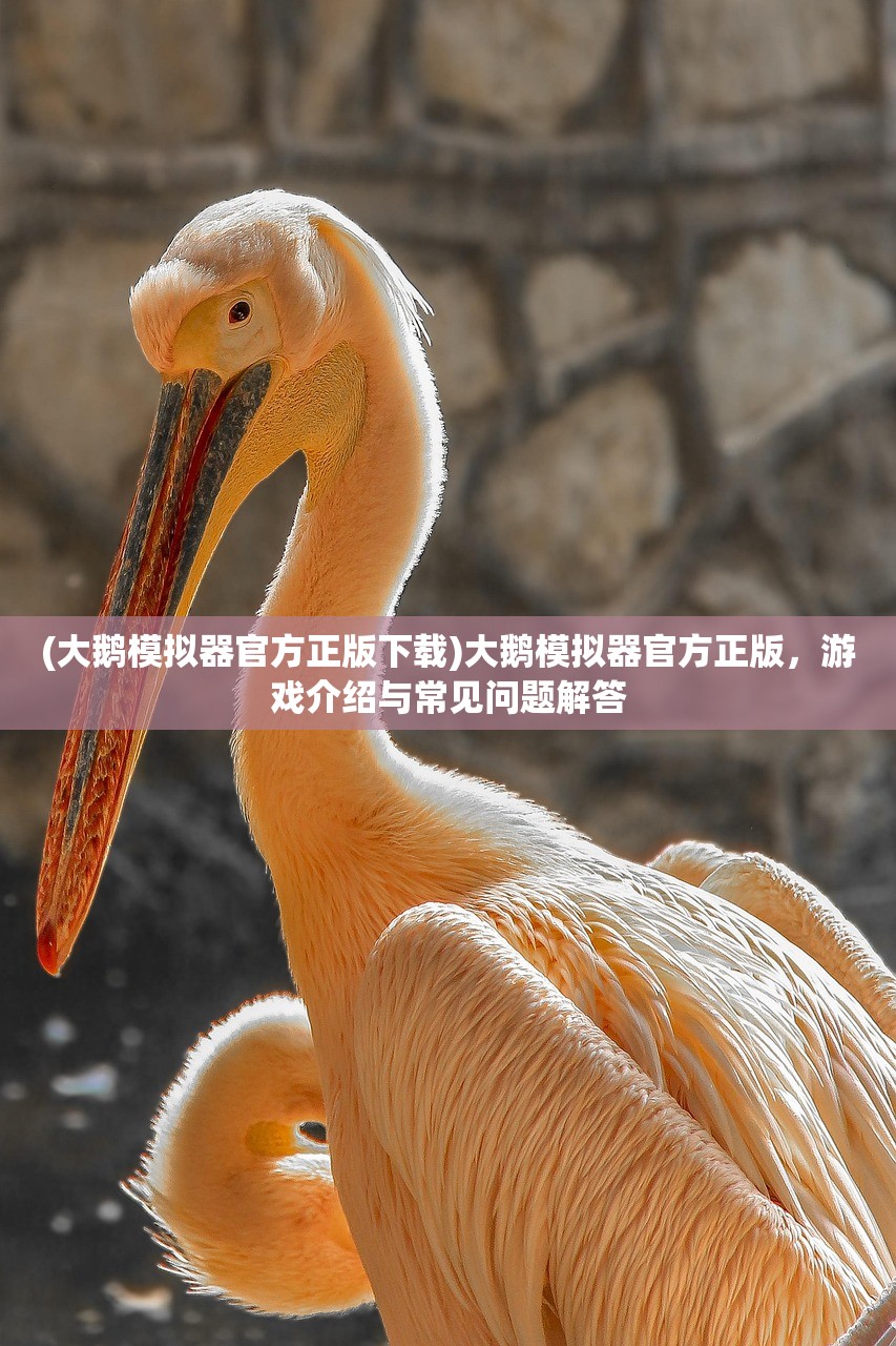 (大鹅模拟器官方正版下载)大鹅模拟器官方正版，游戏介绍与常见问题解答
