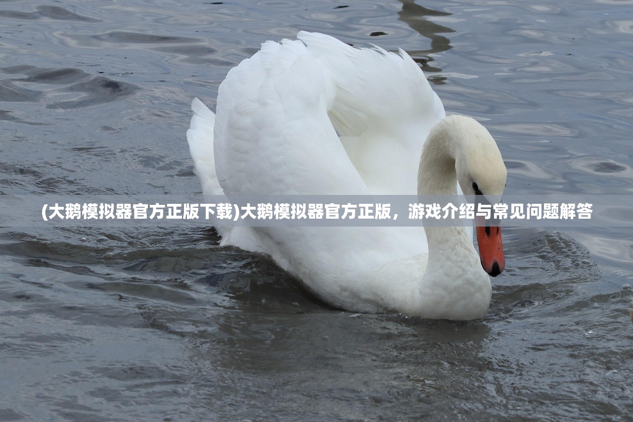 (大鹅模拟器官方正版下载)大鹅模拟器官方正版，游戏介绍与常见问题解答