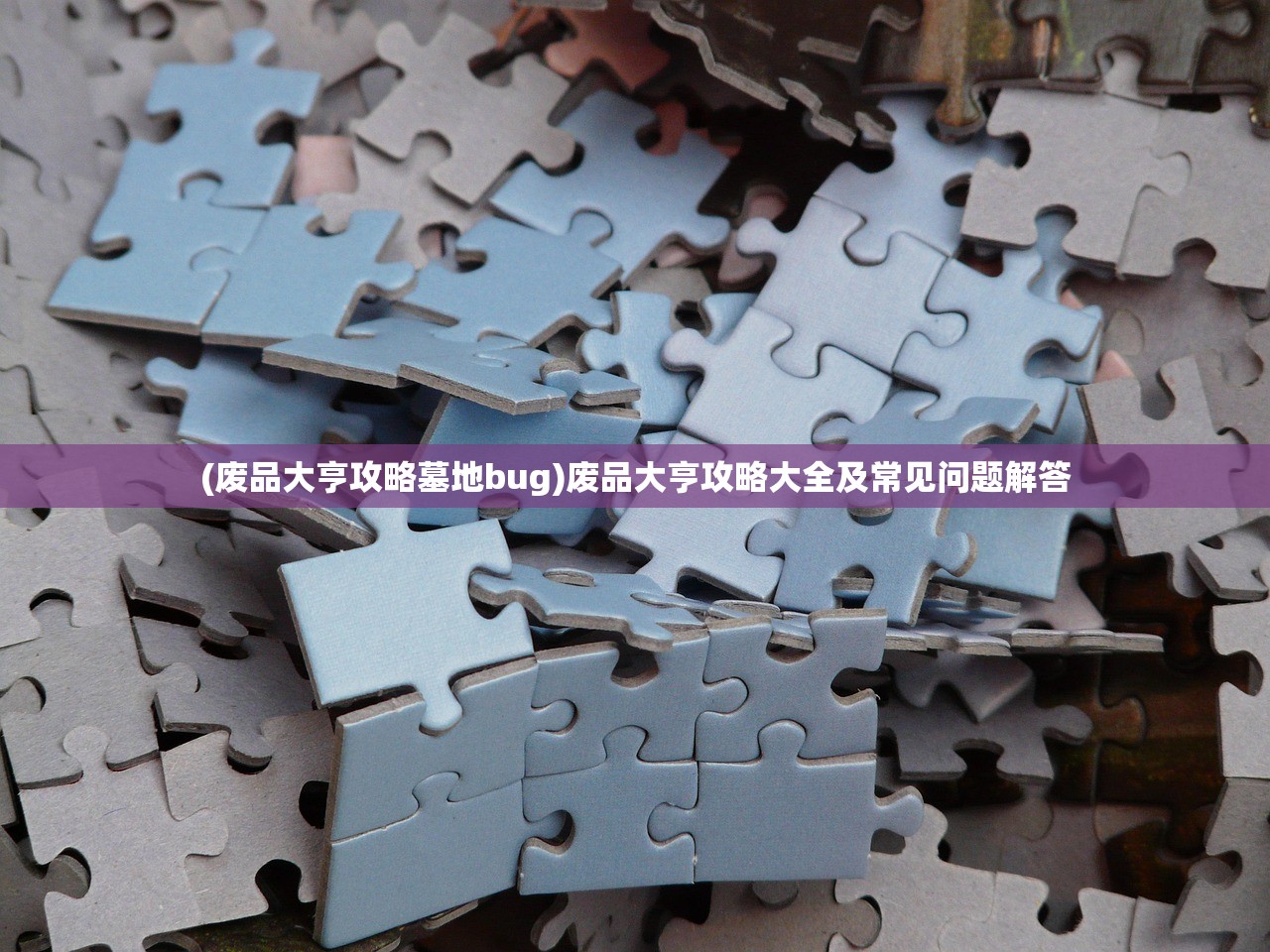(废品大亨攻略墓地bug)废品大亨攻略大全及常见问题解答