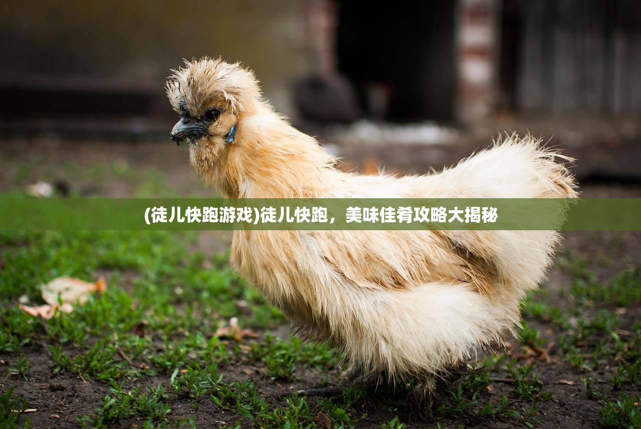 (徒儿快跑游戏)徒儿快跑，美味佳肴攻略大揭秘
