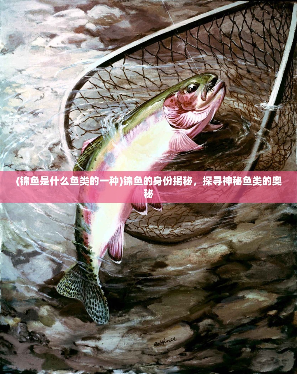 (变形金刚地球之战国际服下载)变形金刚地球之战国际服，战火重燃的宇宙战场