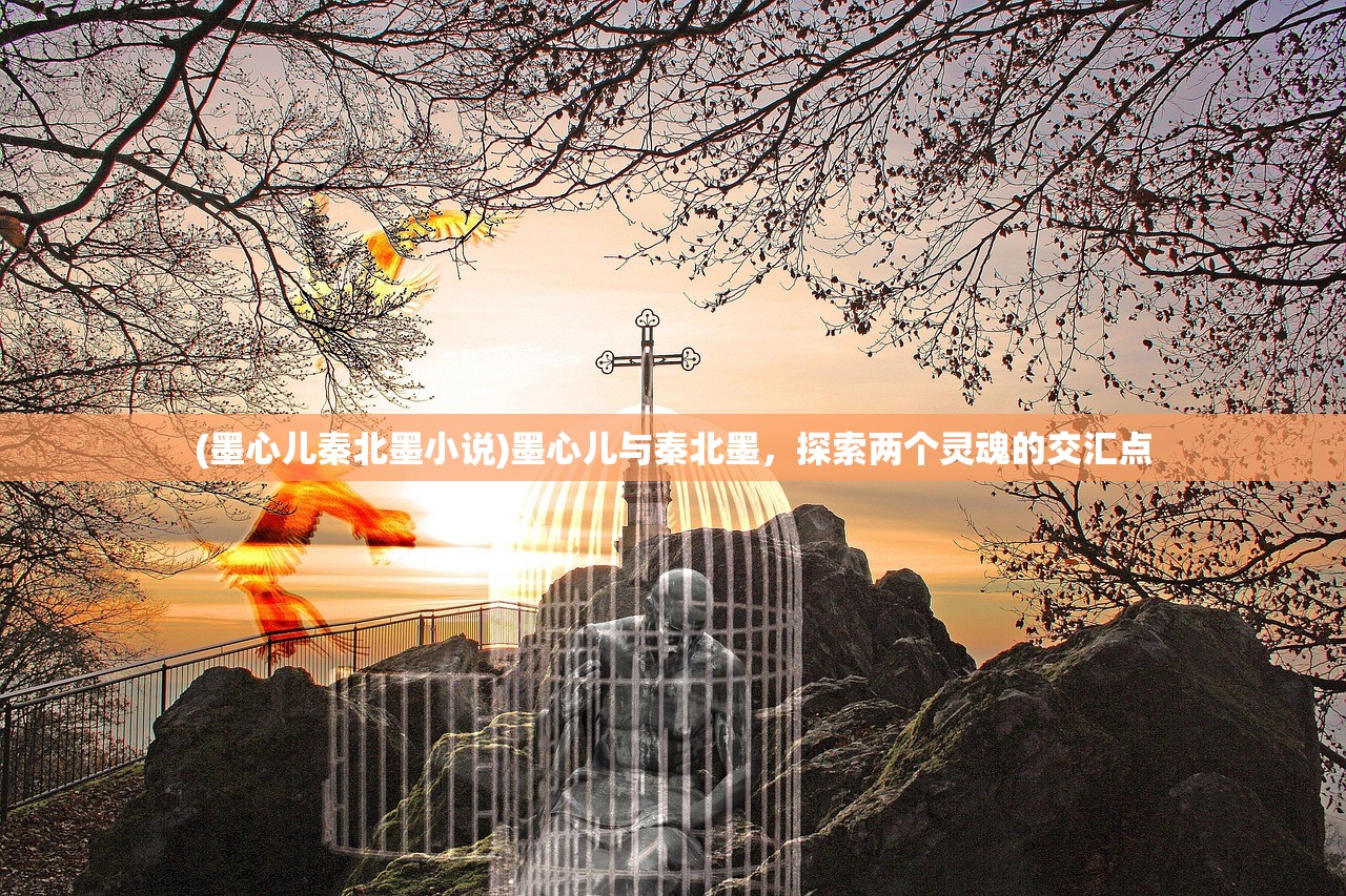 (墨心儿秦北墨小说)墨心儿与秦北墨，探索两个灵魂的交汇点