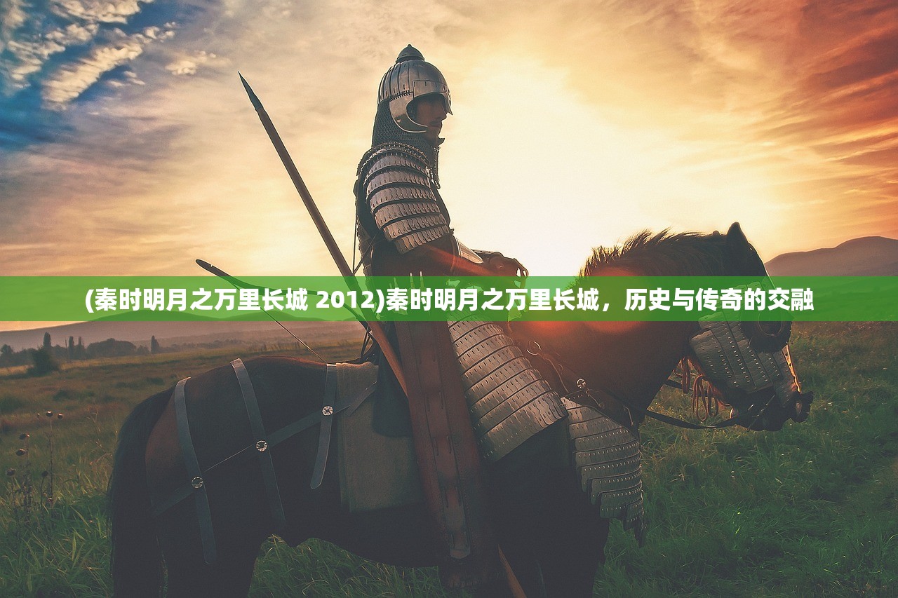 (秦时明月之万里长城 2012)秦时明月之万里长城，历史与传奇的交融