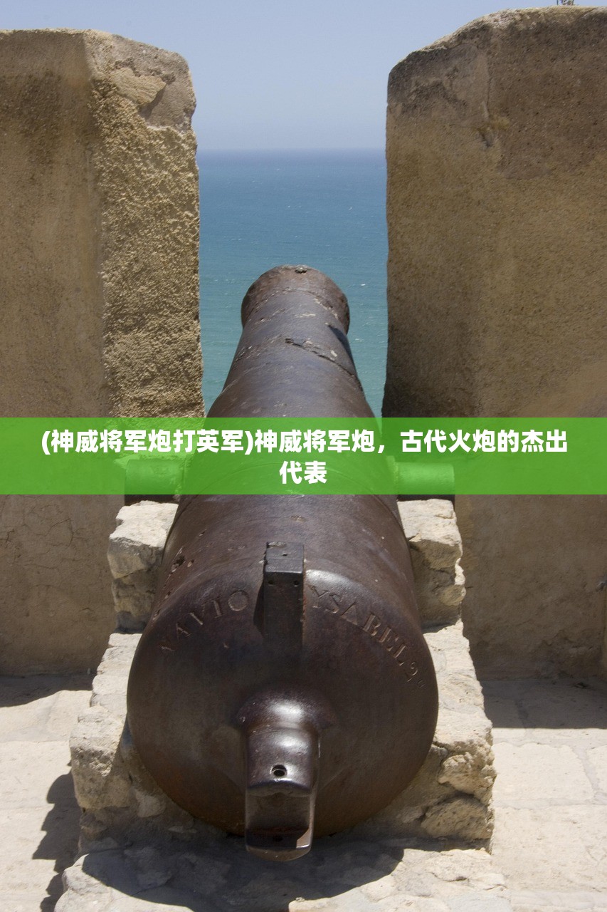 (神威将军炮打英军)神威将军炮，古代火炮的杰出代表