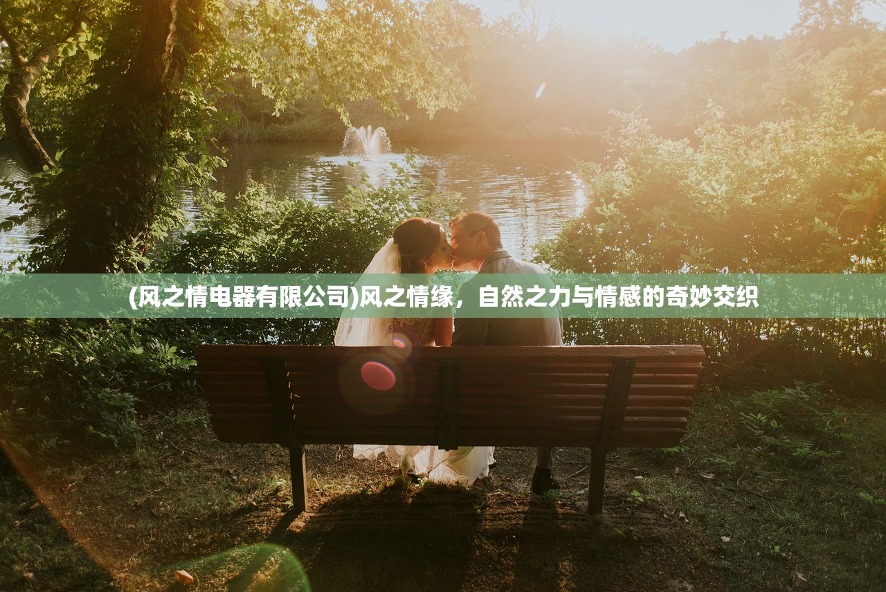 (风之情电器有限公司)风之情缘，自然之力与情感的奇妙交织