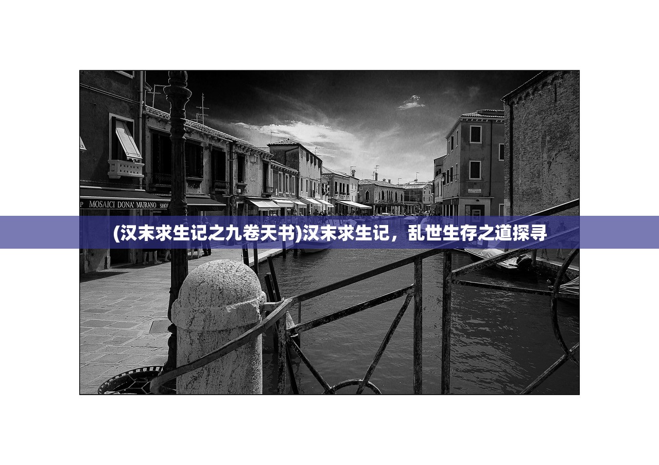 (汉末求生记之九卷天书)汉末求生记，乱世生存之道探寻