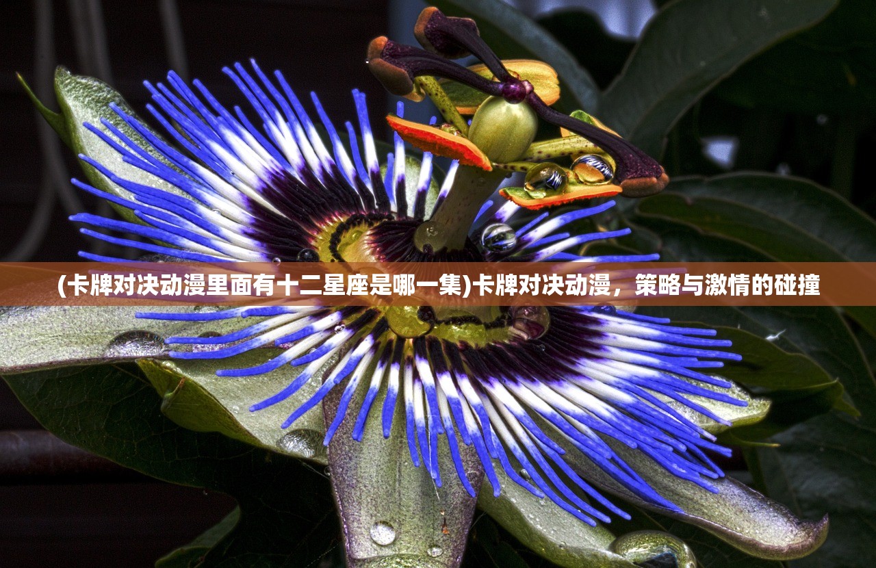 (卡牌对决动漫里面有十二星座是哪一集)卡牌对决动漫，策略与激情的碰撞