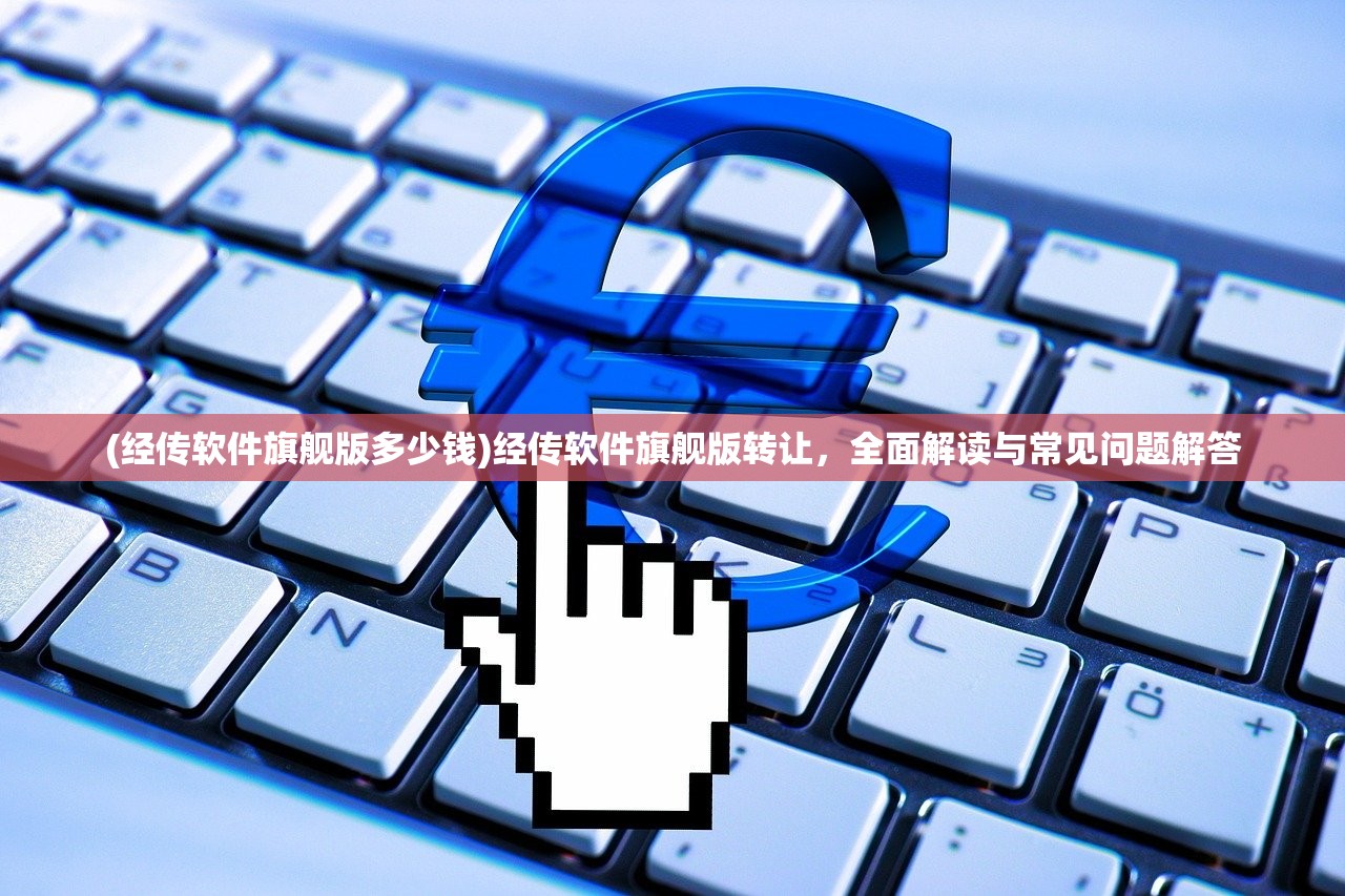 (经传软件旗舰版多少钱)经传软件旗舰版转让，全面解读与常见问题解答