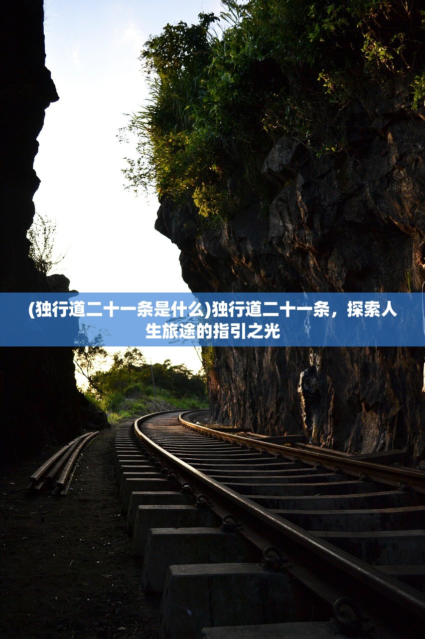 (独行道二十一条是什么)独行道二十一条，探索人生旅途的指引之光