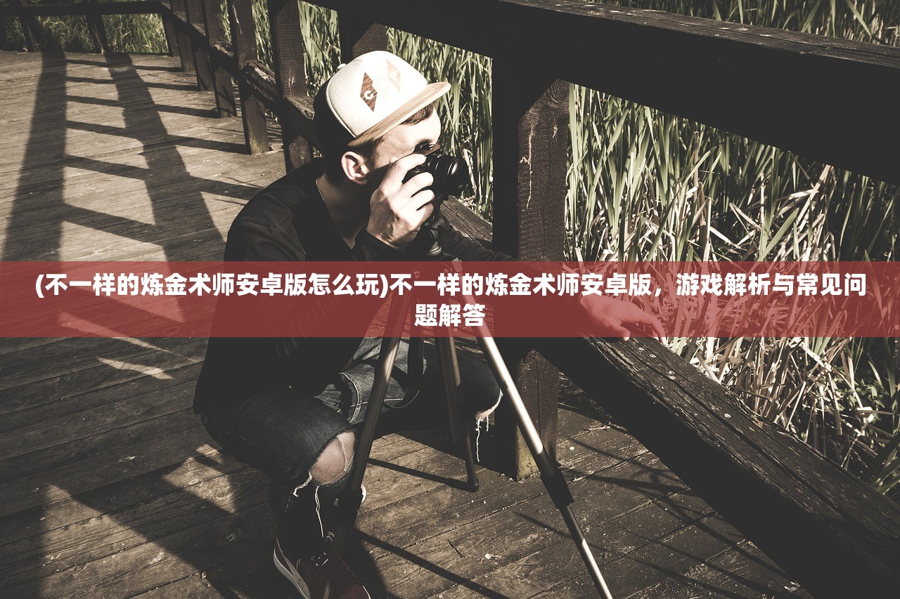 (不一样的炼金术师安卓版怎么玩)不一样的炼金术师安卓版，游戏解析与常见问题解答