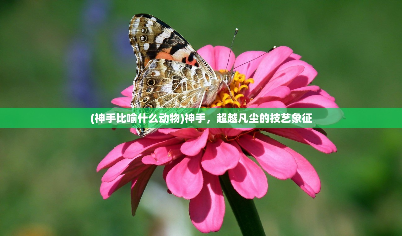 (神手比喻什么动物)神手，超越凡尘的技艺象征