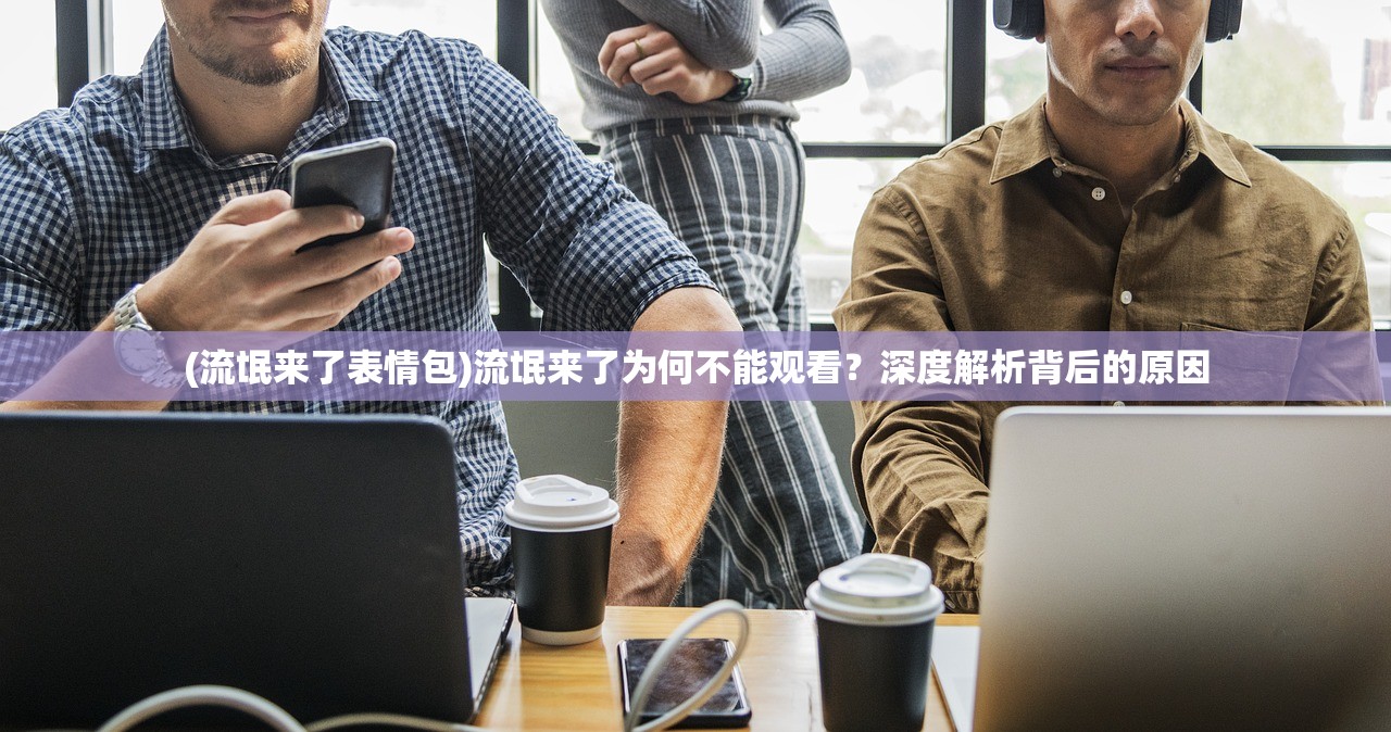 (流氓来了表情包)流氓来了为何不能观看？深度解析背后的原因