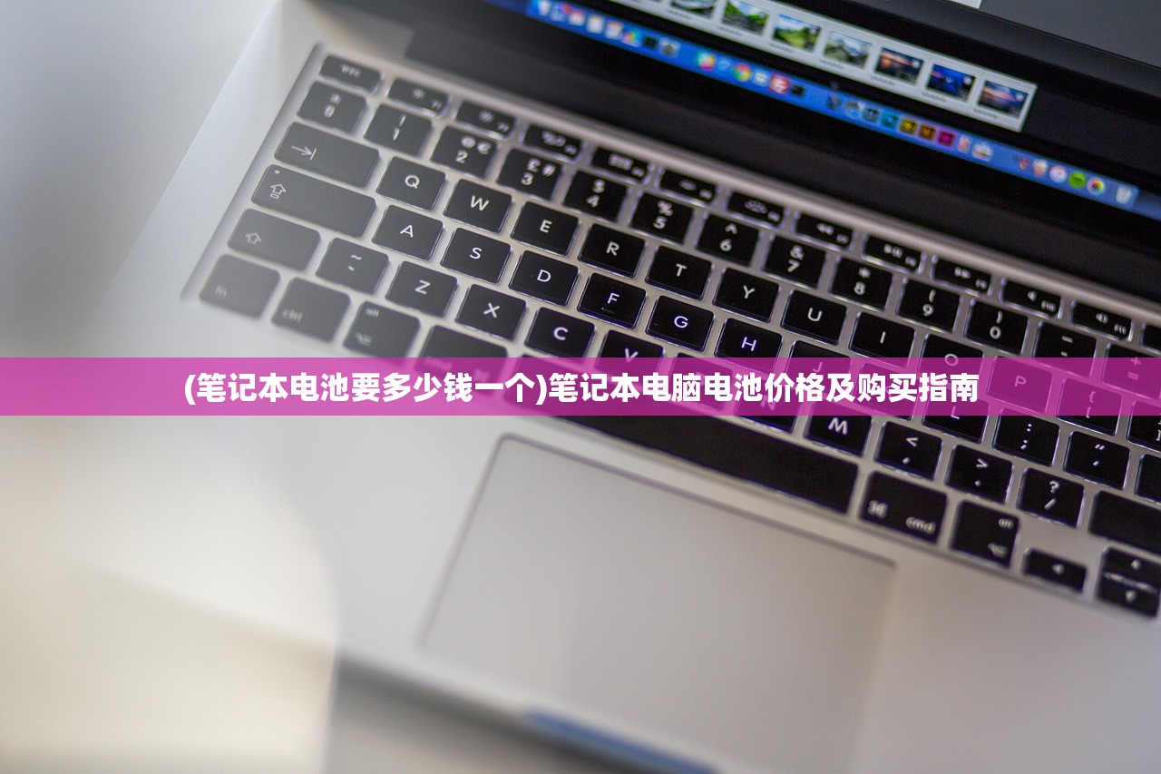 (笔记本电池要多少钱一个)笔记本电脑电池价格及购买指南