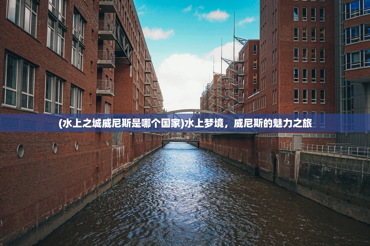 (水上之城威尼斯是哪个国家)水上梦境，威尼斯的魅力之旅